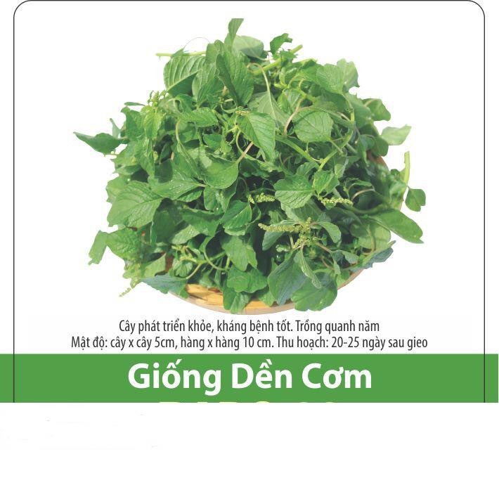 Hạt giống Rau dền cơm đồng 338