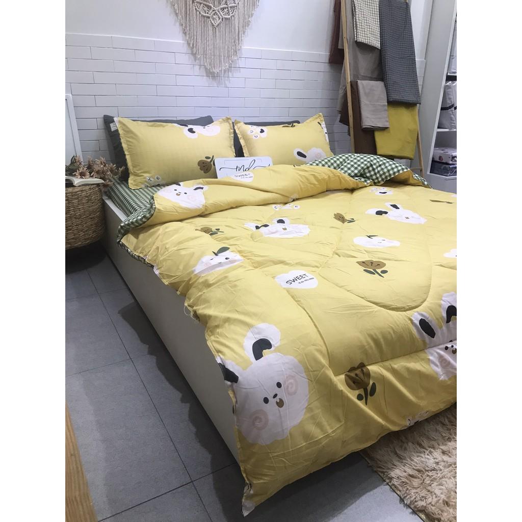 Bộ chăn ga gối Cotton Poly 5 món