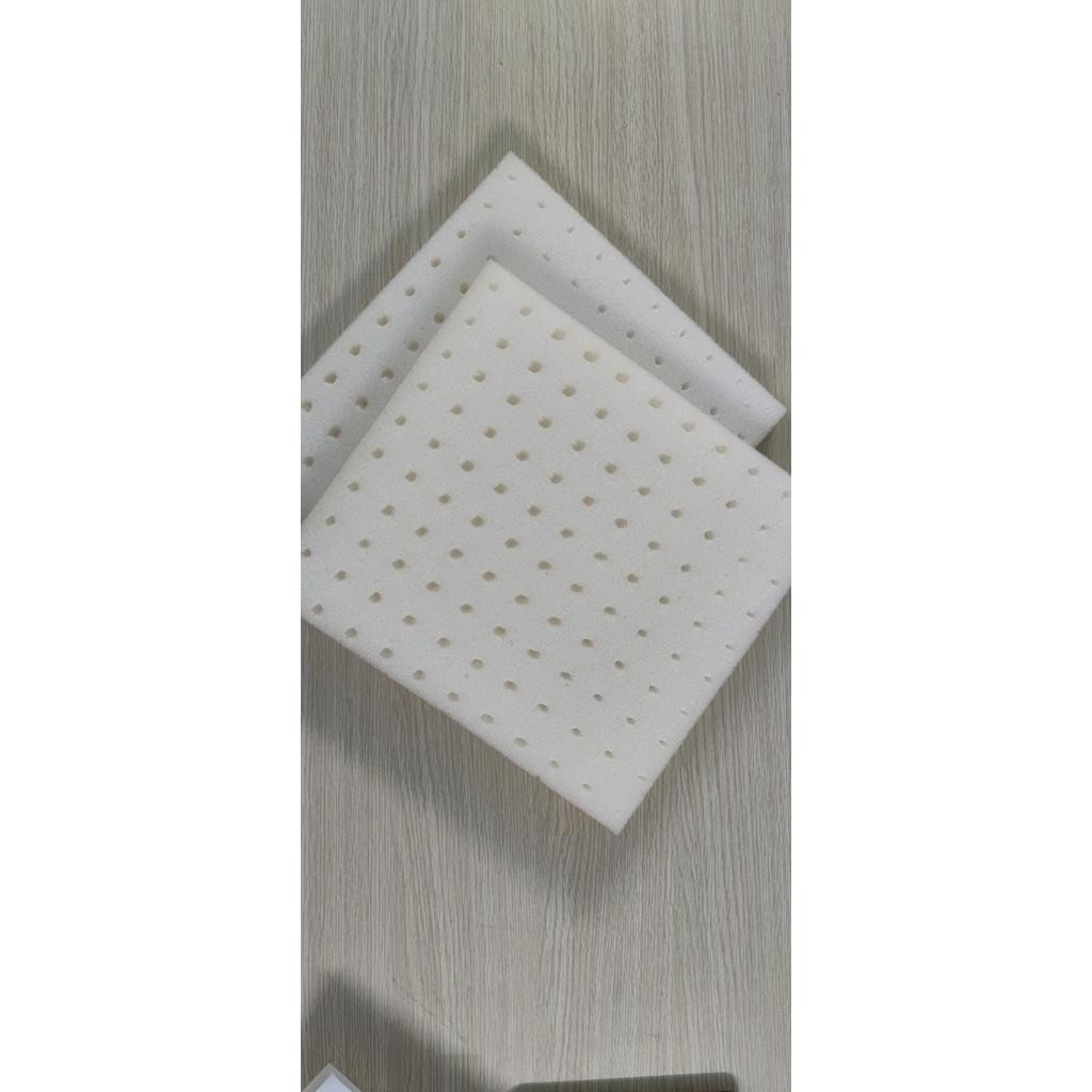Mút ươm hạt giống trồng cây gồm 110 viên