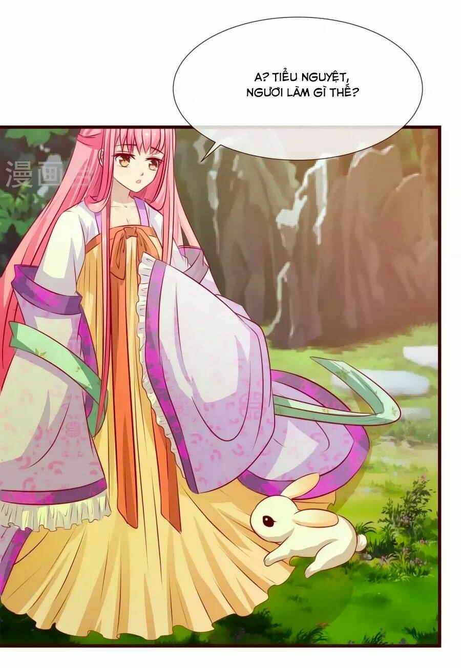 thỏ yêu tiểu vương phi chapter 18 20