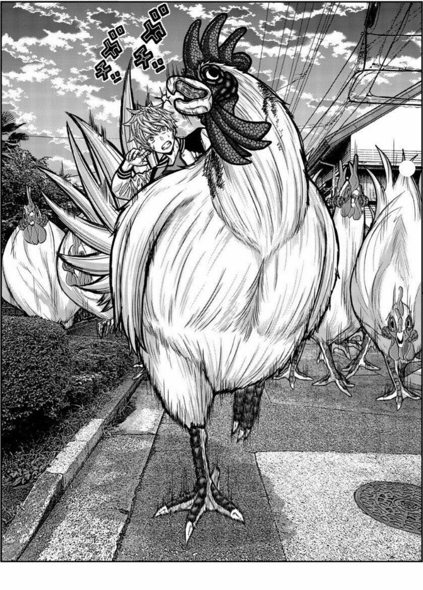 tiếng gáy sát thủ chapter 15 6