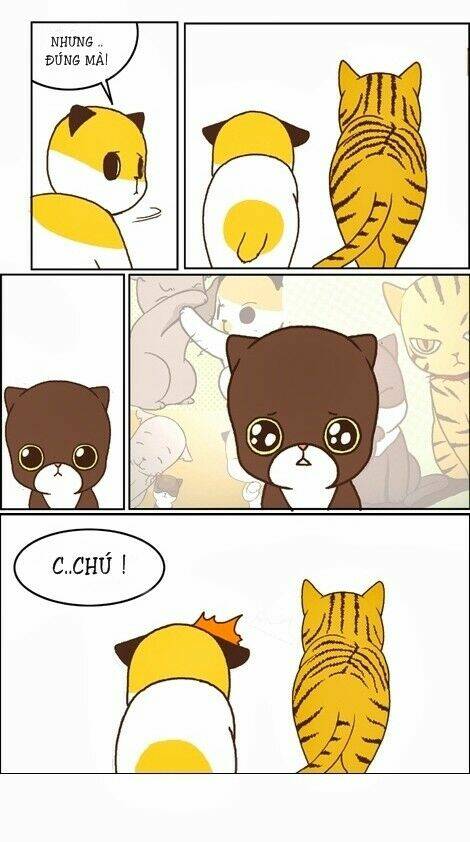 papi nyang chapter 12 10