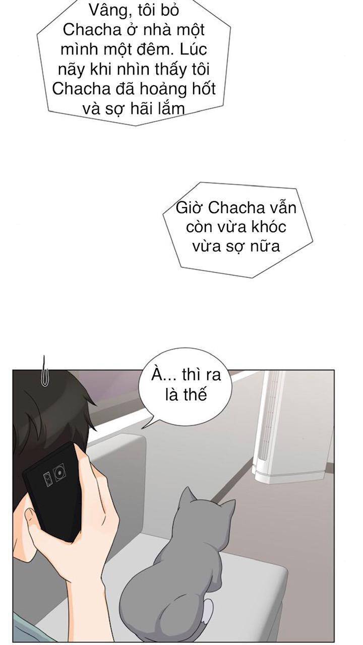 idol và sếp, em yêu ai? chapter 68 19
