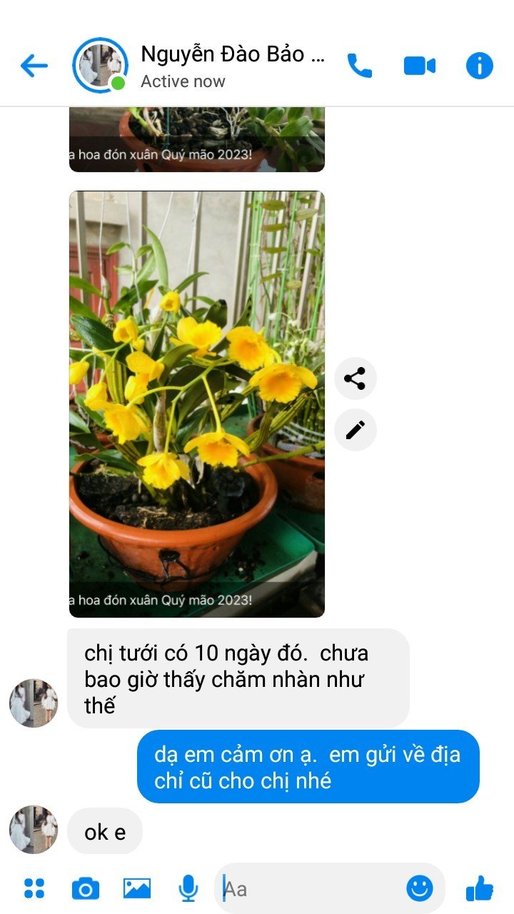 SIÊU PHỤC HỒI CÂY CTBIO - phân hữu cơ