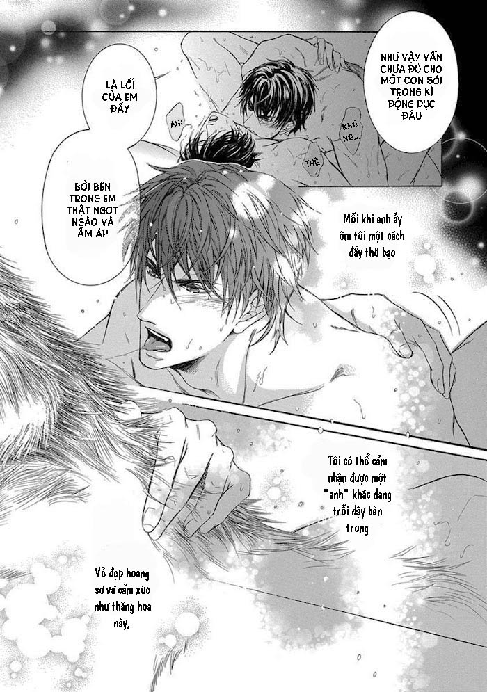 mật tình chapter 1 4