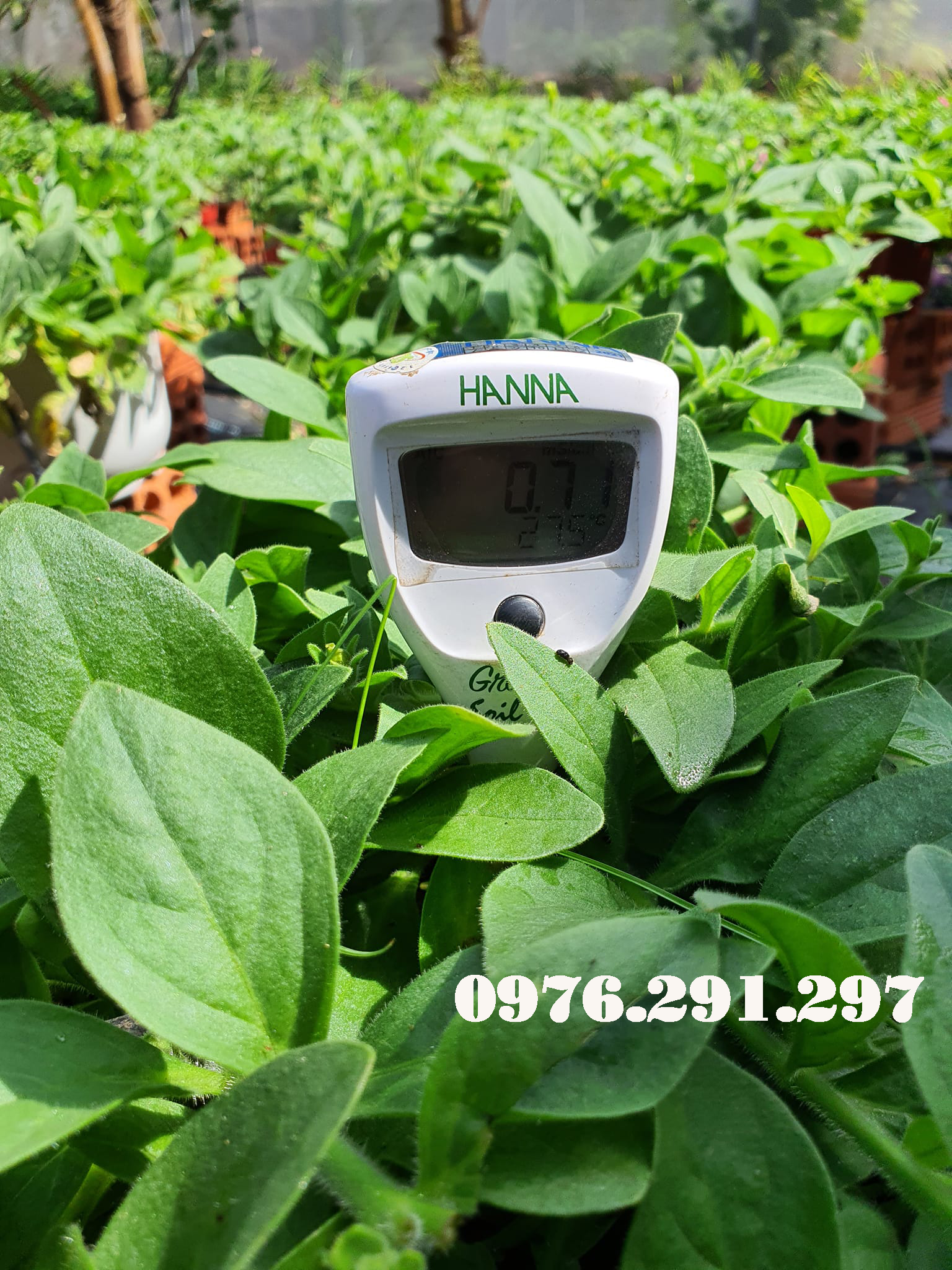 Bút đo EC trong đất - Bút đo dinh dưỡng đất HI98331 Hanna