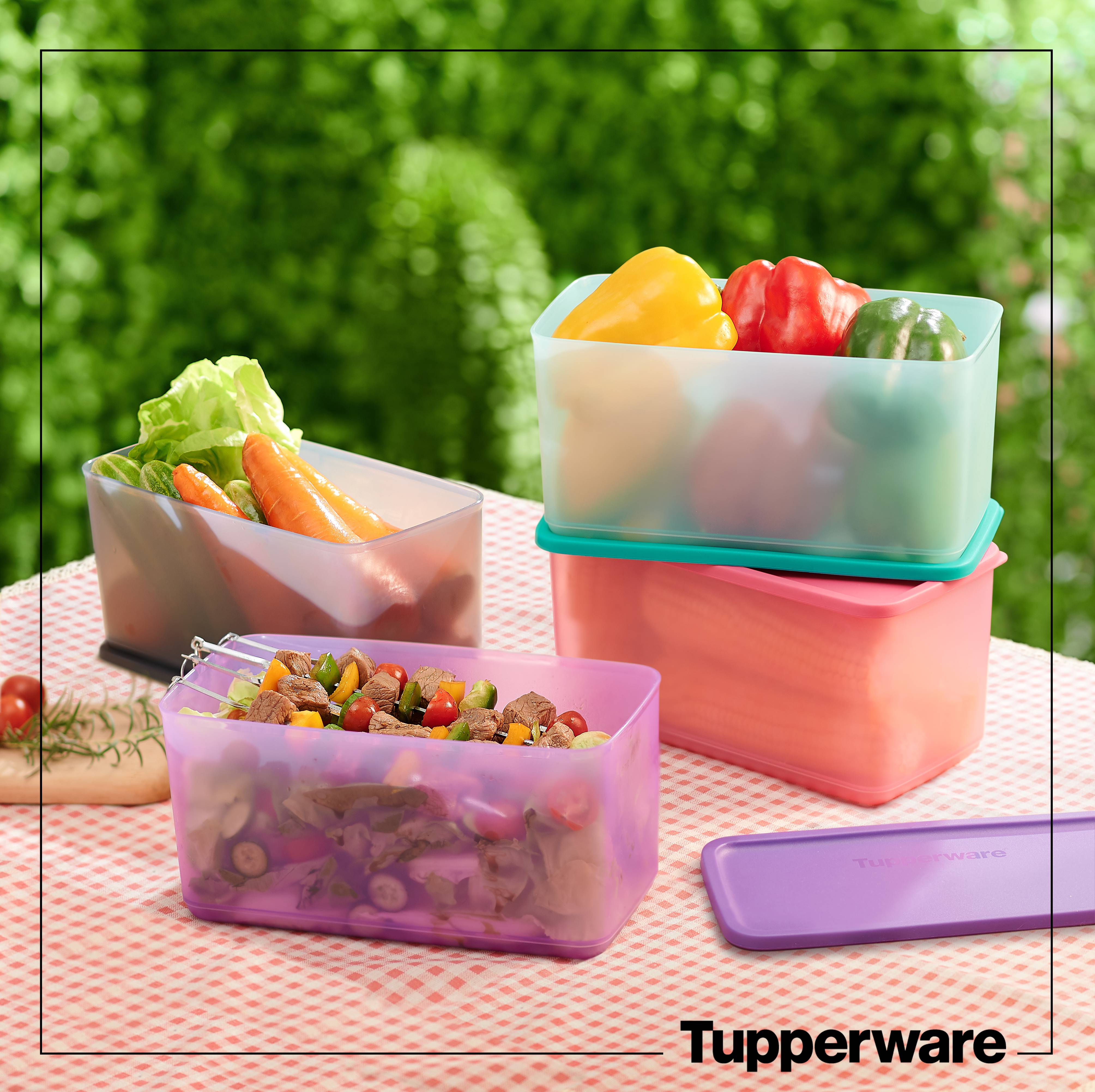 Tupperware Bộ Trữ Mát Funtastic Four (4 hộp size lớn 3.1L) Mẫu Mới