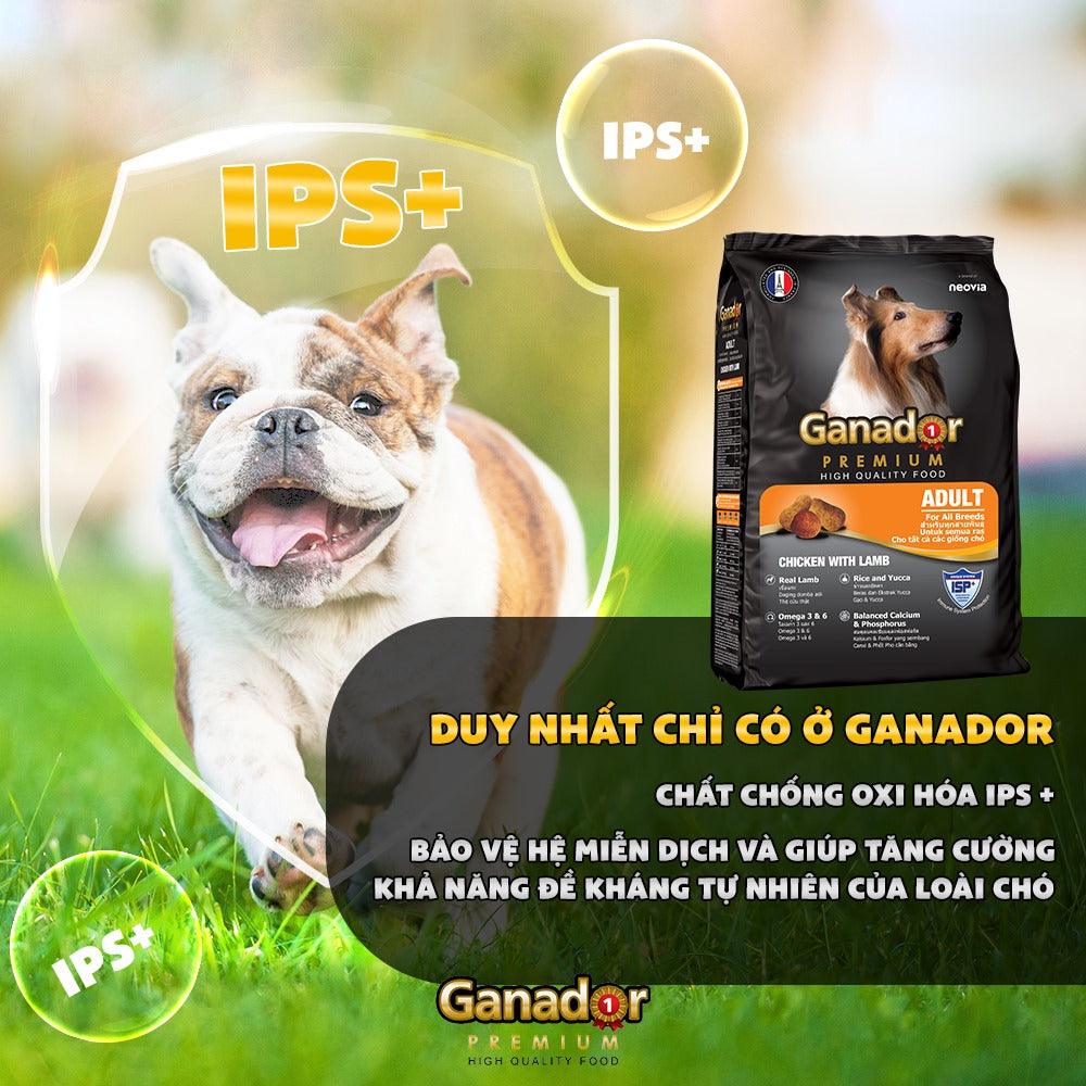 20KG Thức ăn cho chó trưởng thành Ganador vị thịt cừu &amp; gạo - Ganador Adult Lamb &amp; Rice - Thức ăn hạt cho Chó