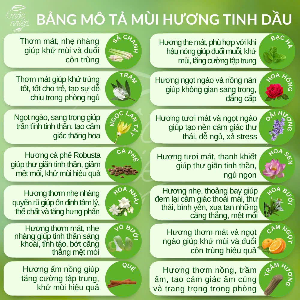 Xịt khử mùi đa năng 50ml khử mùi phòng tủ quần áo xe hơi thú cưng Tinh dầu xịt phòng Văn Phòng