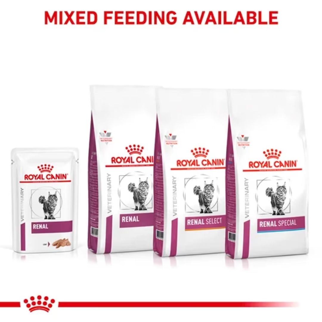 Pate Thức ăn ướt Royal Canin Renal cho mèo bị suy thận