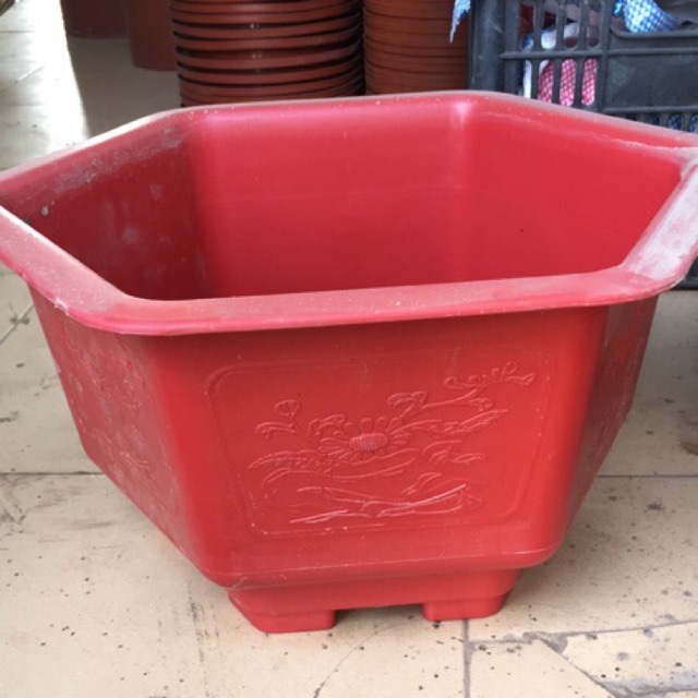 10 chậu nhựa lục giác trồng cây 250x150 - Chậu đẹp bền rẻ chuyên trồng cây cảnh.