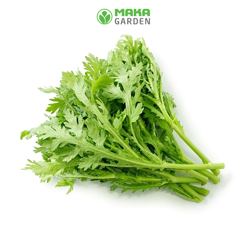 Hạt giống Rau Tần Ô Lá Tròn Rado 124 - Gói 20Gr - Trồng Quanh Năm, Sinh Trưởng Khỏe