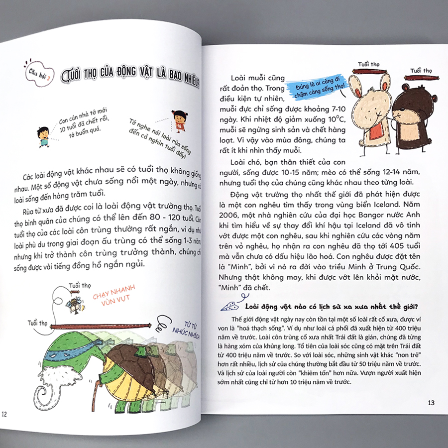 Combo 2 cuốn: Hỏi đáp khoa học vui nhộn (Động vật có ngủ mơ không? + Tại sao bọ hung thích vê phân?)