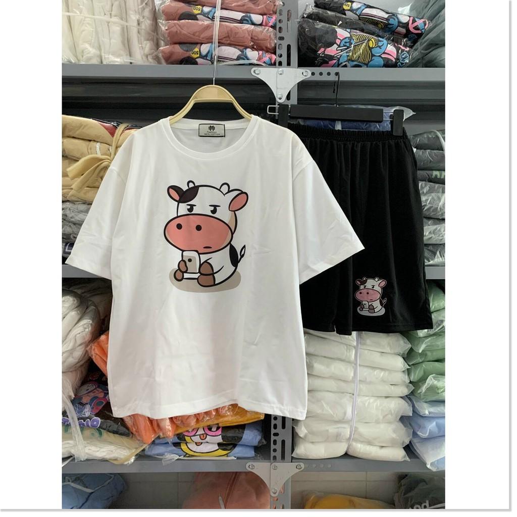 SET BỘ THUN COTTON NỮ XINH XẮN