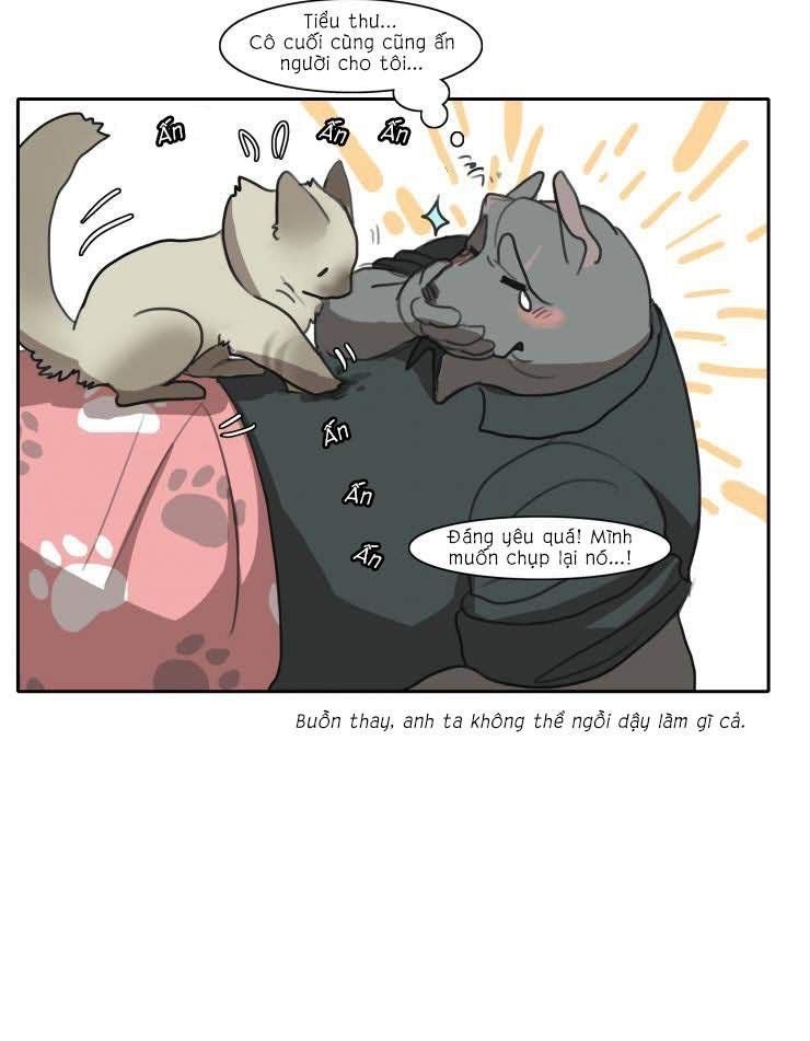 cat girl and bodyguards chapter 10 10