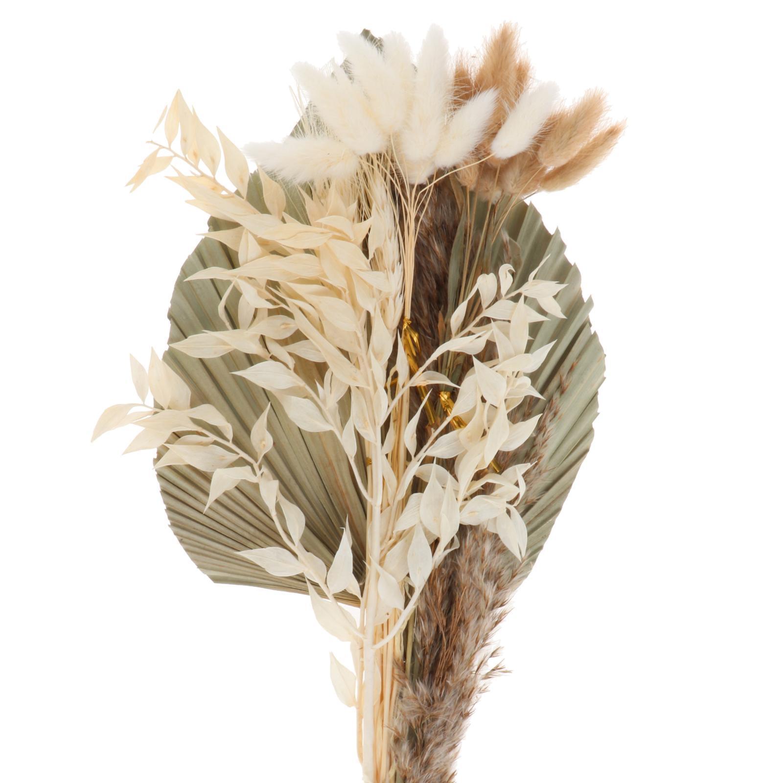 Dried Palm Leaves Pampas Grass Bundle Palm Spears Branches for Wedding