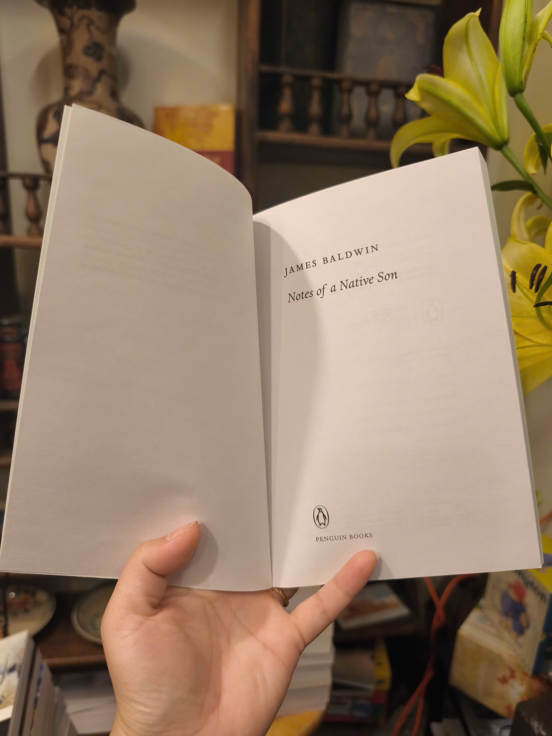 Sách - Notes of a Native Son by James Baldwin | Essays / Classics / Ngoại văn Nhập khẩu Kinh điển