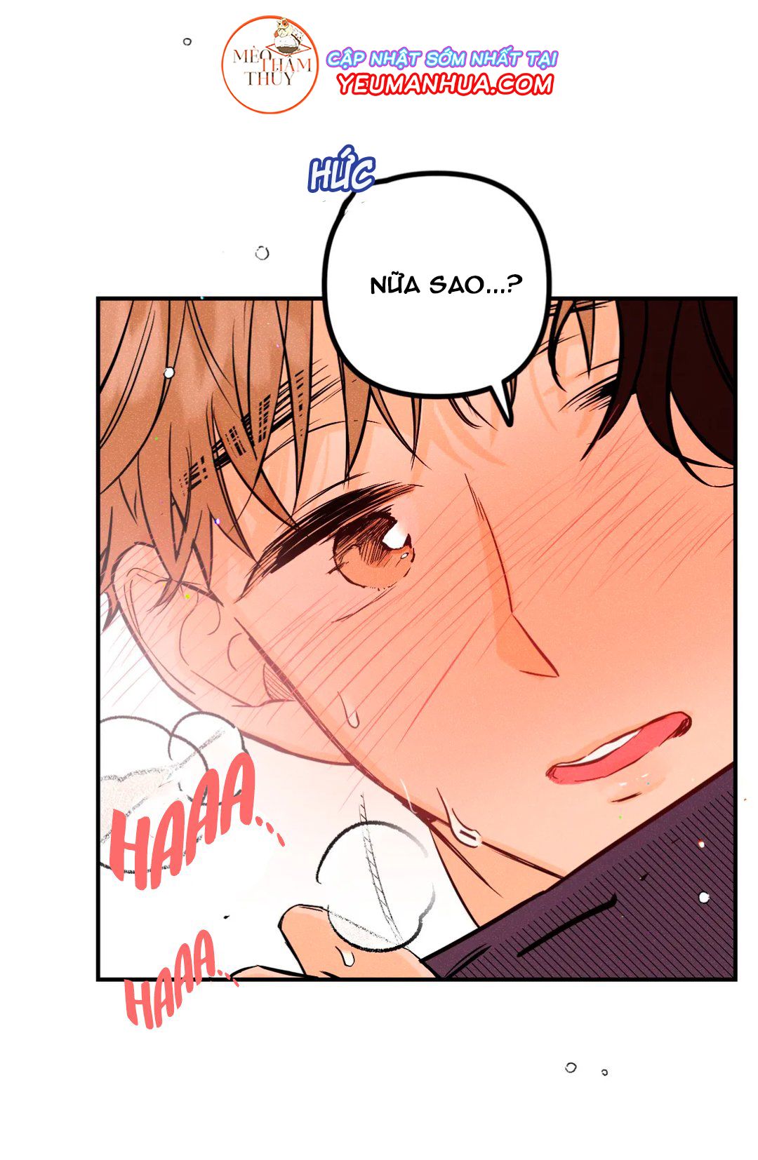 punk dunk funk chapter 11 17