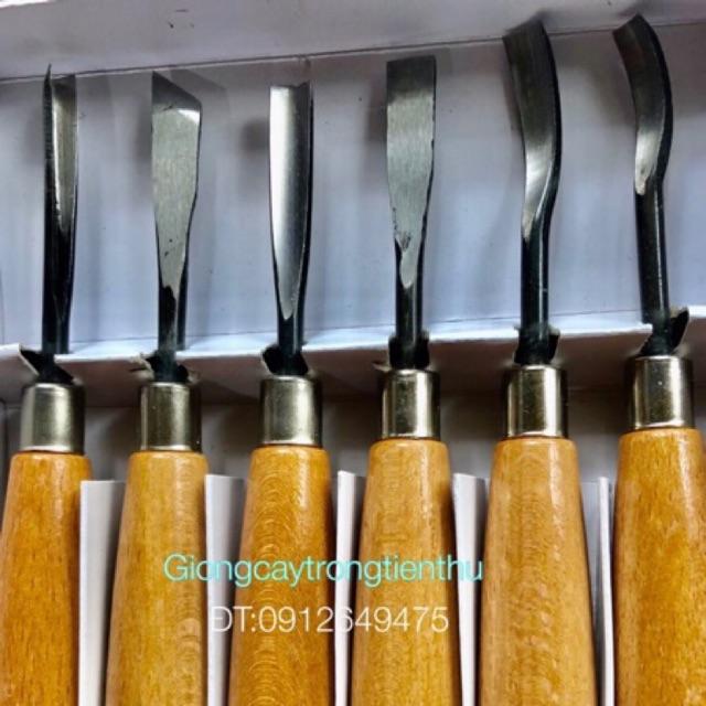 BỘ ĐỤC CÂY CẢNH,GỖ MỸ NGHỆ 6 MÓN CAO CẤP