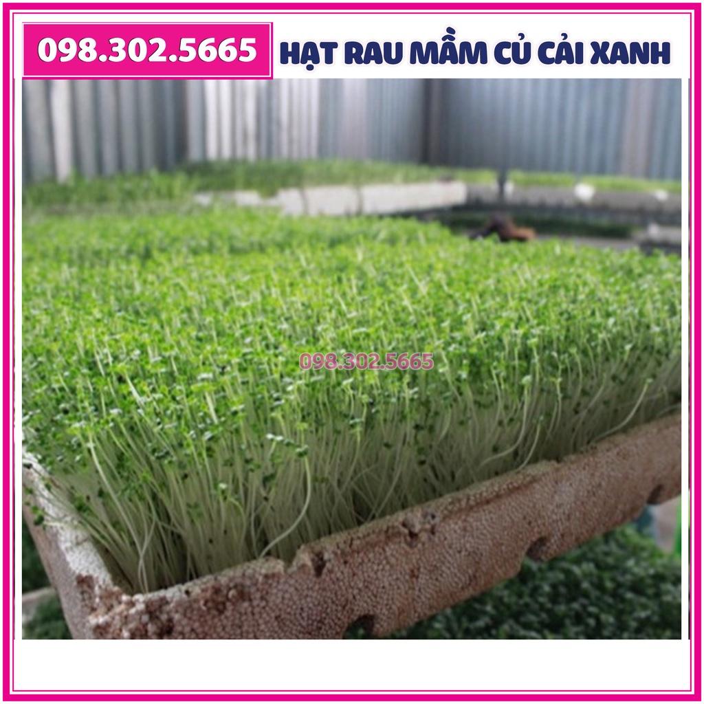 Hạt rau mầm rau Củ cải Trắng - gói 100g - Hạt chất lượng tốt, nảy mầm đều
