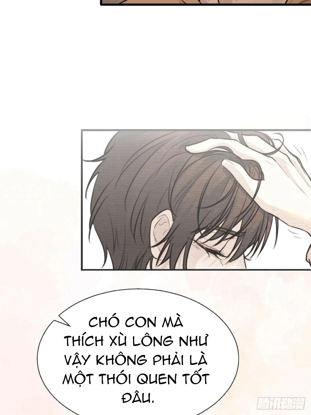 chó hư khó giữ chapter 22 37