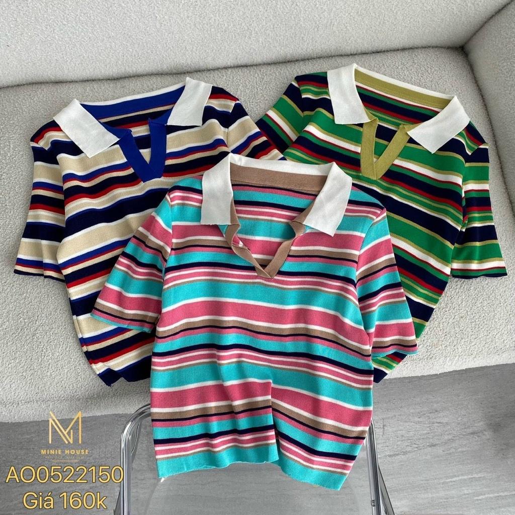 Áo len polo kẻ ngang sắc màu