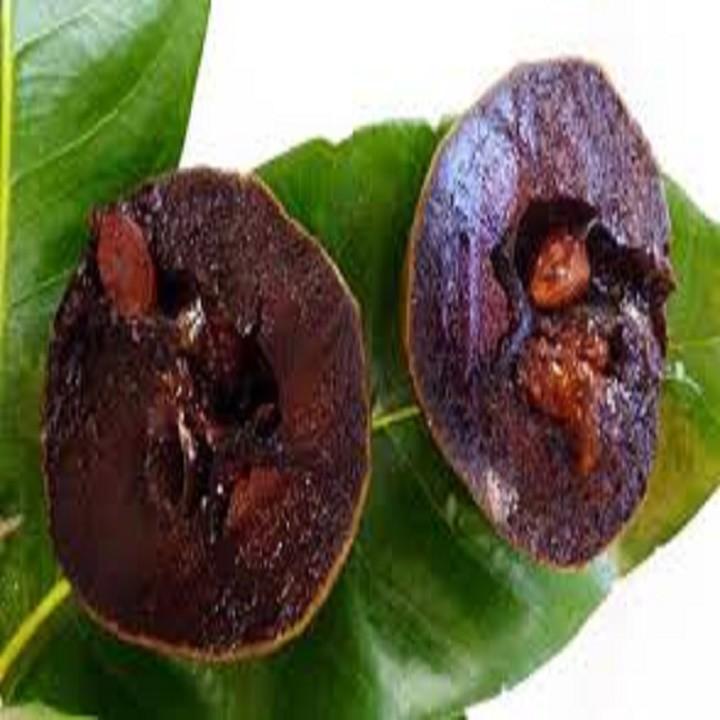 CÂY GIỐNG HỒNG ĐEN SOCOLA NHIỆT ĐỚI SIÊU NGON, CAM KẾT CHUẨN GIỐNG F1