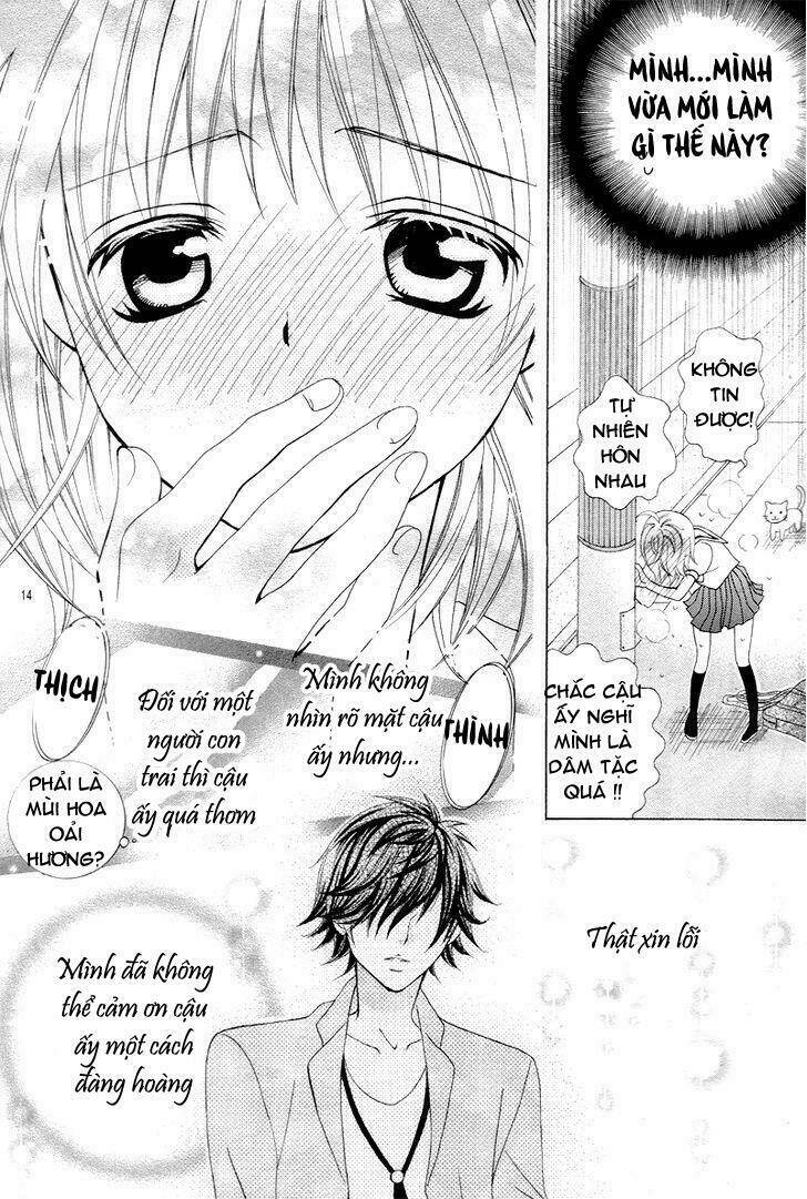 cuộc gặp gỡ diệu kỳ chapter 1 14