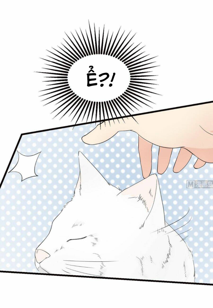 hắn là long ngạo thiên chapter 37 18