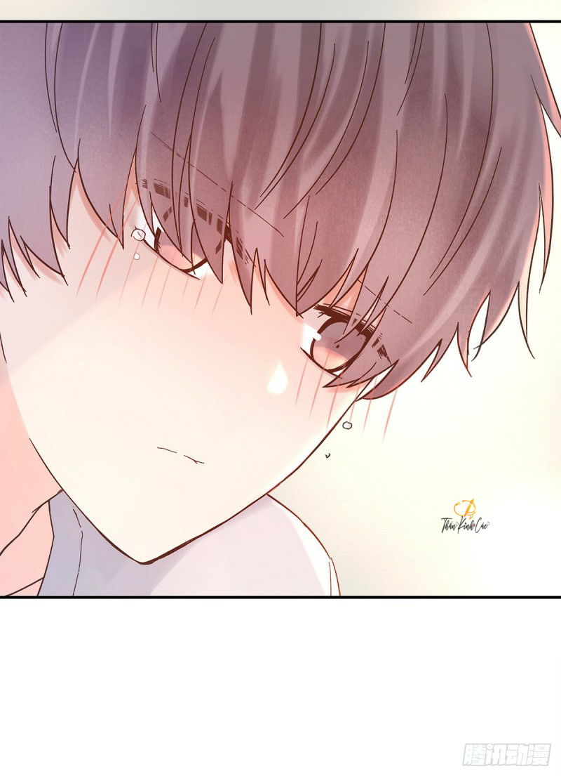 mối tình đầu gian nan của chu thành nhất chapter 36 14