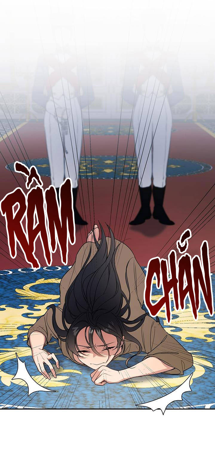 sẽ lại tỏa sáng một lần nữa chapter 1 42