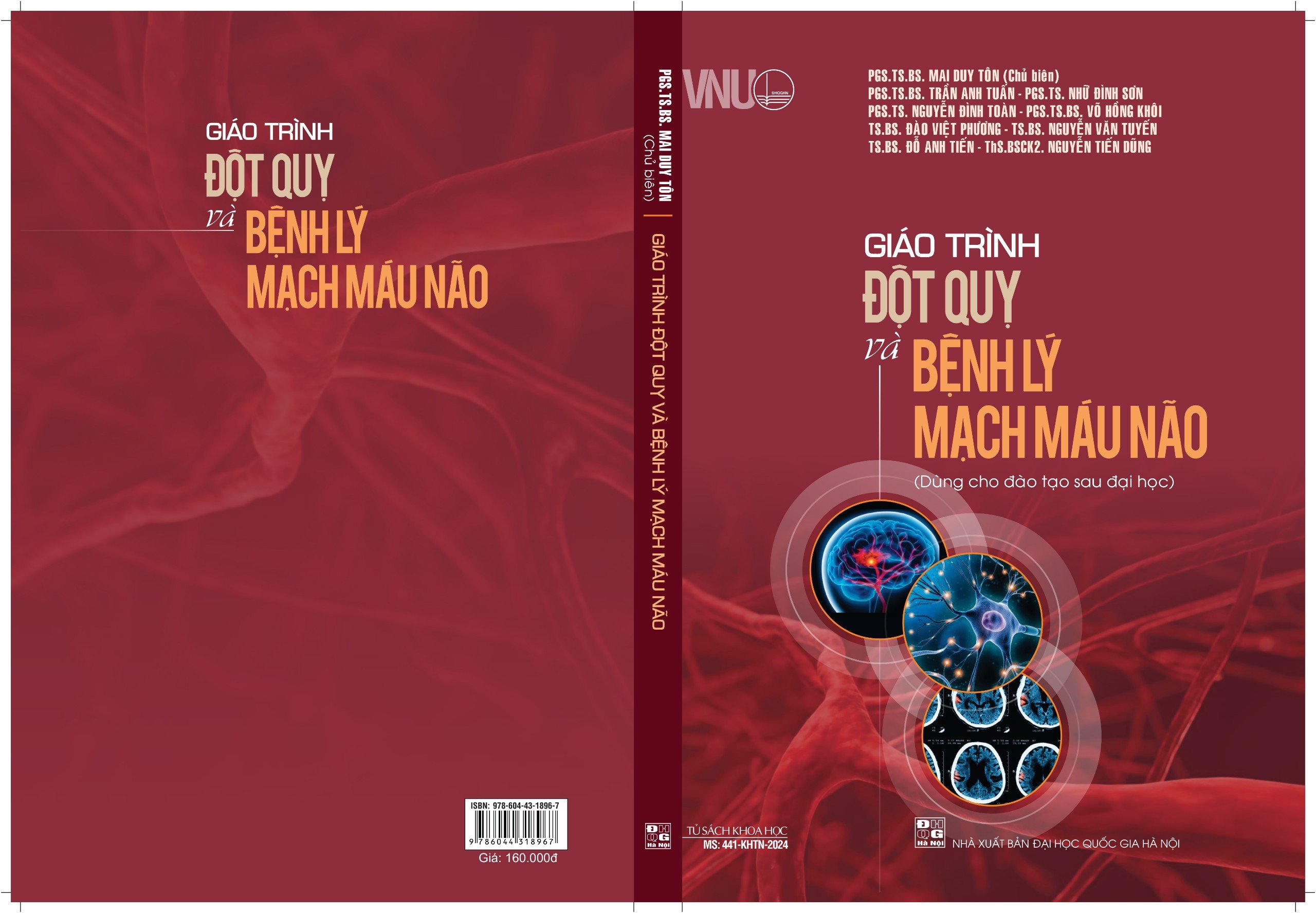 Giáo trình Đột quỵ và bệnh lý mạch máu não (Dùng cho đào tạo sau đại học)