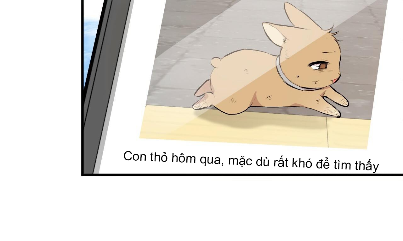 đàn thỏ của habibi chapter 50 97