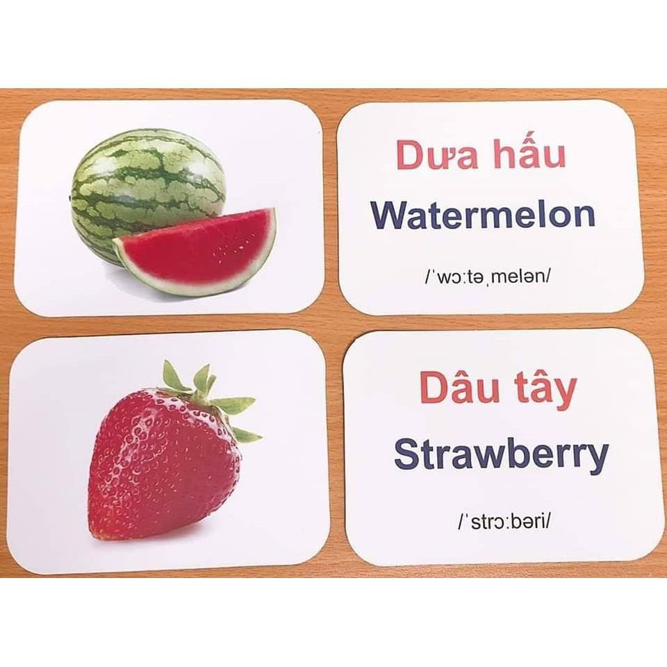 Đồ chơi giáo dục Thẻ Học Thông Minh 19 Chủ Đề loại to song ngữ tiếng Anh loại chuẩn Glenn Doman Flashcard Loại To