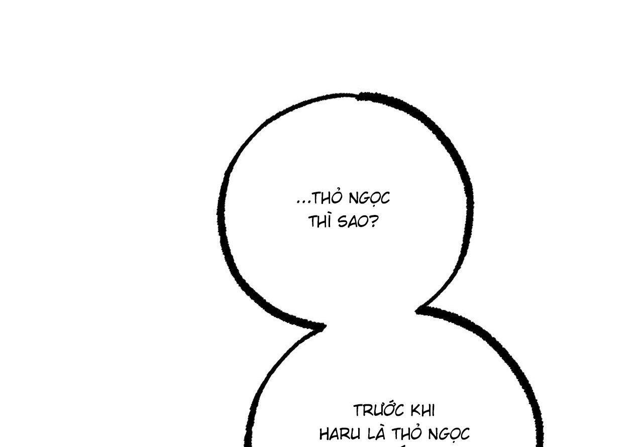 những chú thỏ của hapypy chapter 59 227