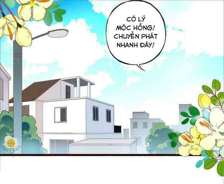 nở rộ trên bụi gai chapter 4 2