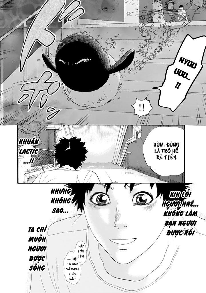 hataraku saibou! chapter 24 22