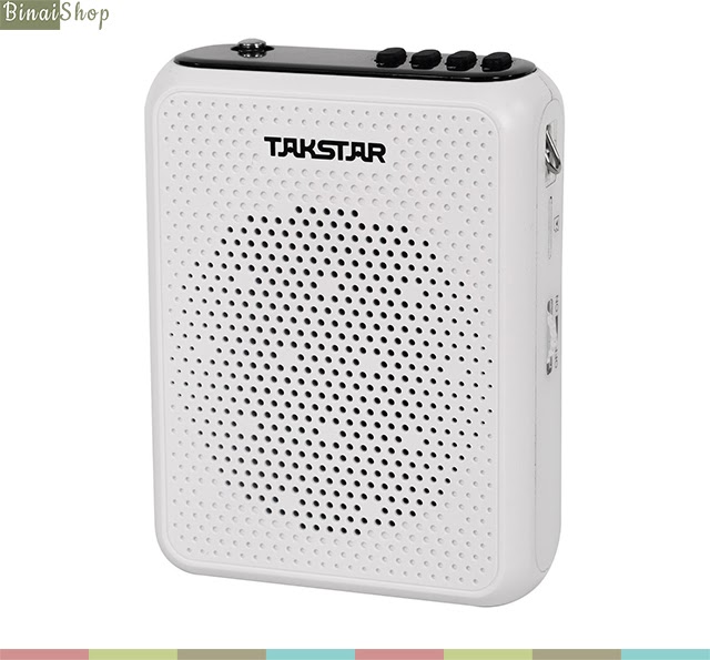 Takstar E300W