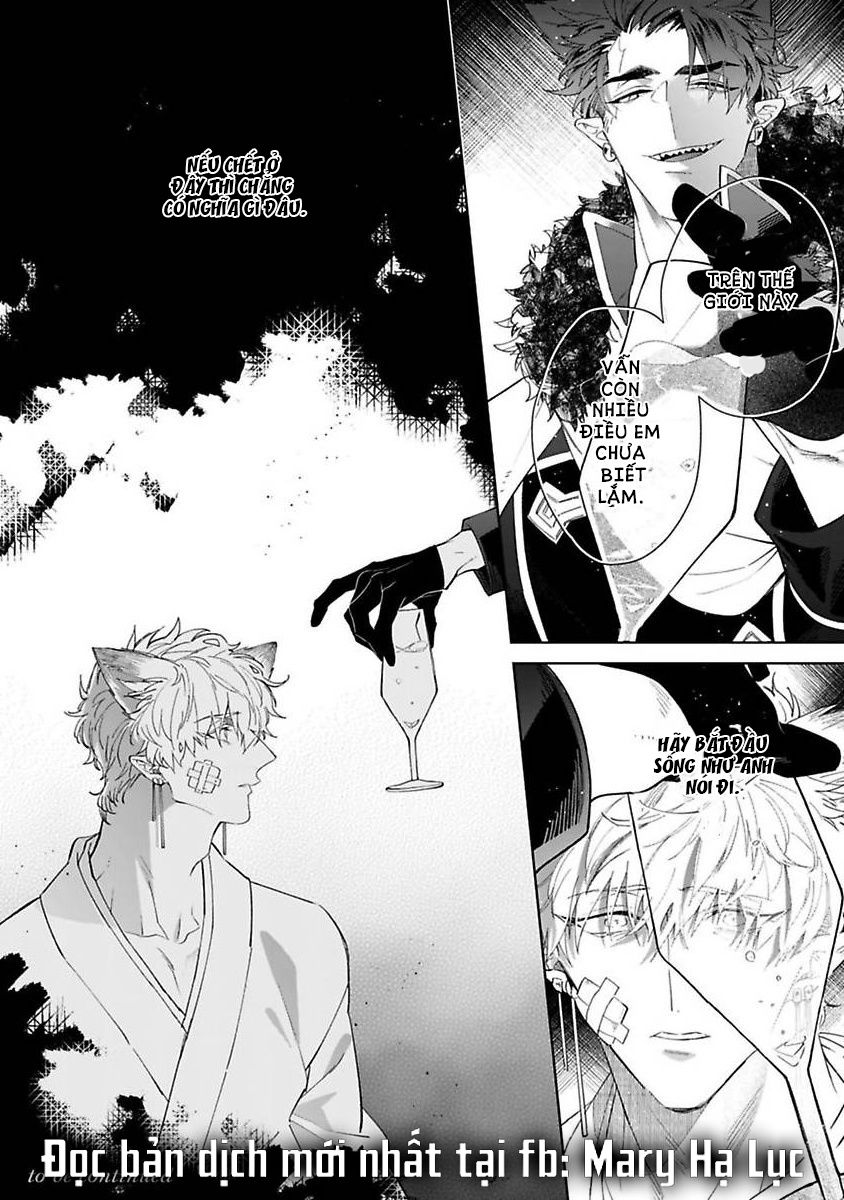 cô dâu thú nhân chapter 1 26