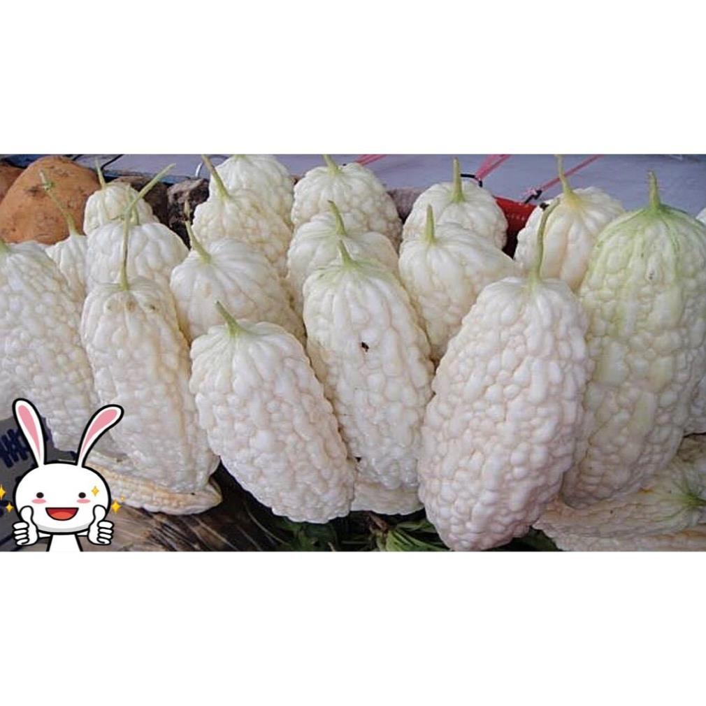 Hạt Giống Mướp Đắng, Khổ Qua Trắng F1+ 700g phân thỏ hữu cơ