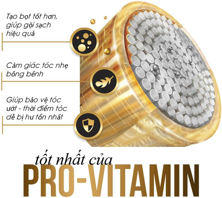 Dầu Gội Pantene Nhật Bản Chăm Sóc Hư Tổn Chuyên Sâu