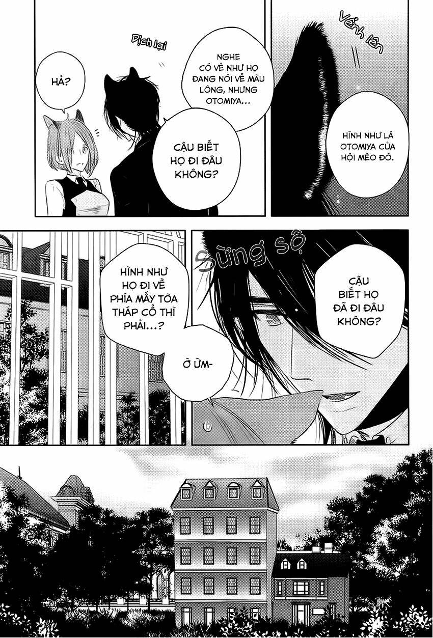 sói đen và cáo bạc chapter 2 23