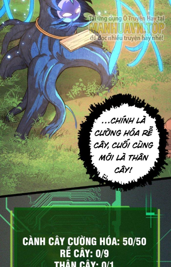 từ cây cổ thụ bắt đầu tiến hóa chapter 2 43