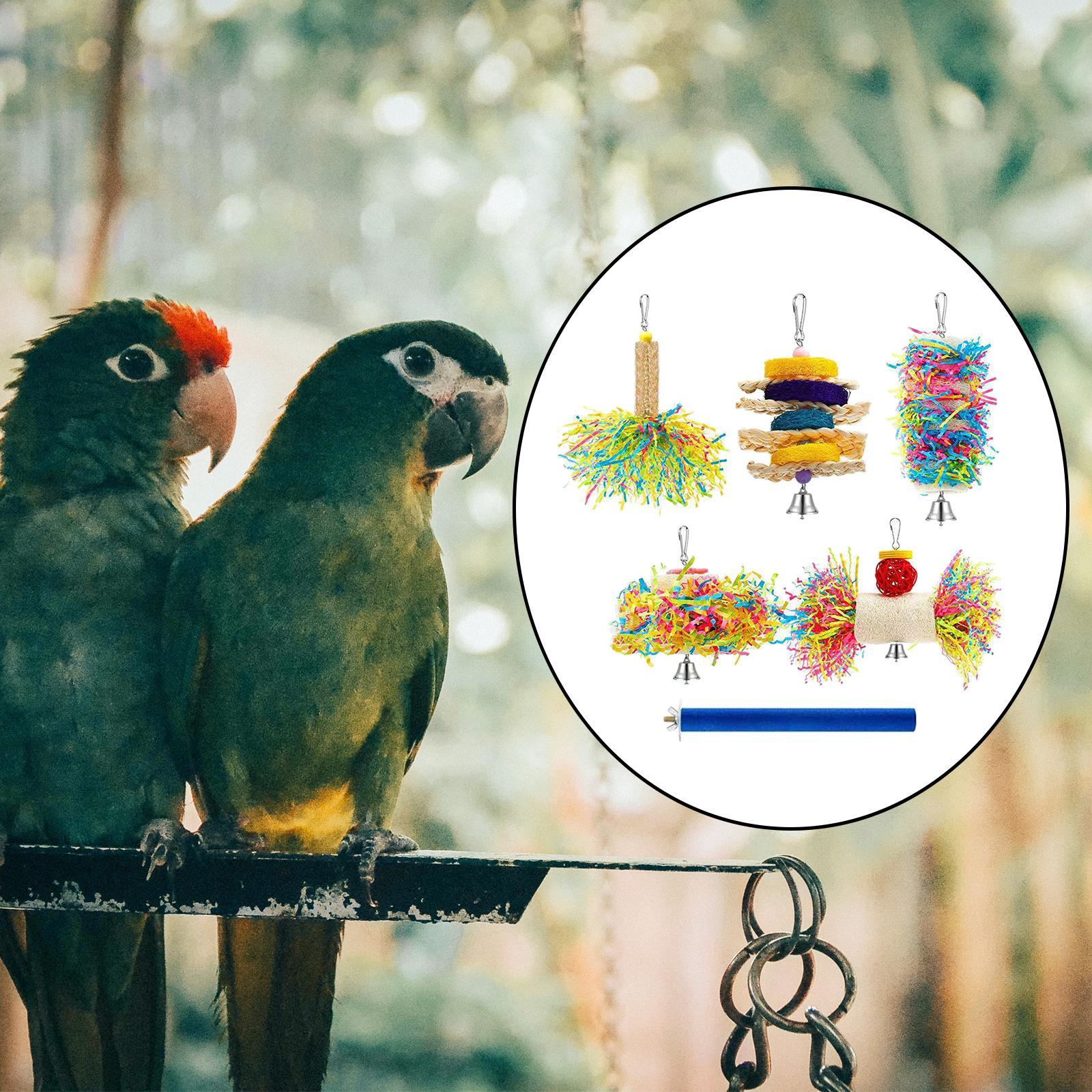 6x Parrot Cage Hanging Toys Hanging Activity Bell Budgie Birds Swing Chewing