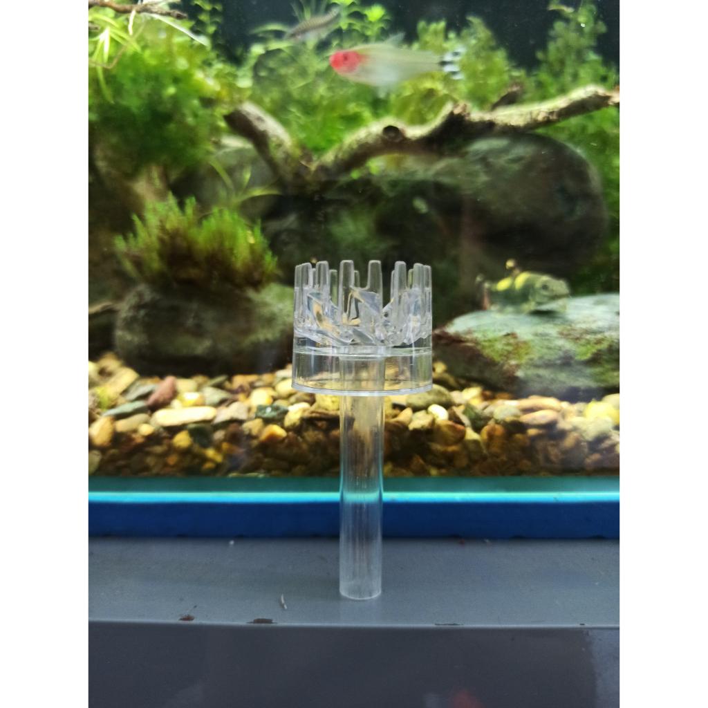 Đầu lọc váng XOAY nano Phi 9 - đầu váng xoay IN OUT LỌC VÁNG nano - IN OUT thủy sinh - shopleo