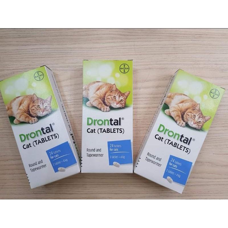 Drontal Cat cho mèo con, mèo bầu