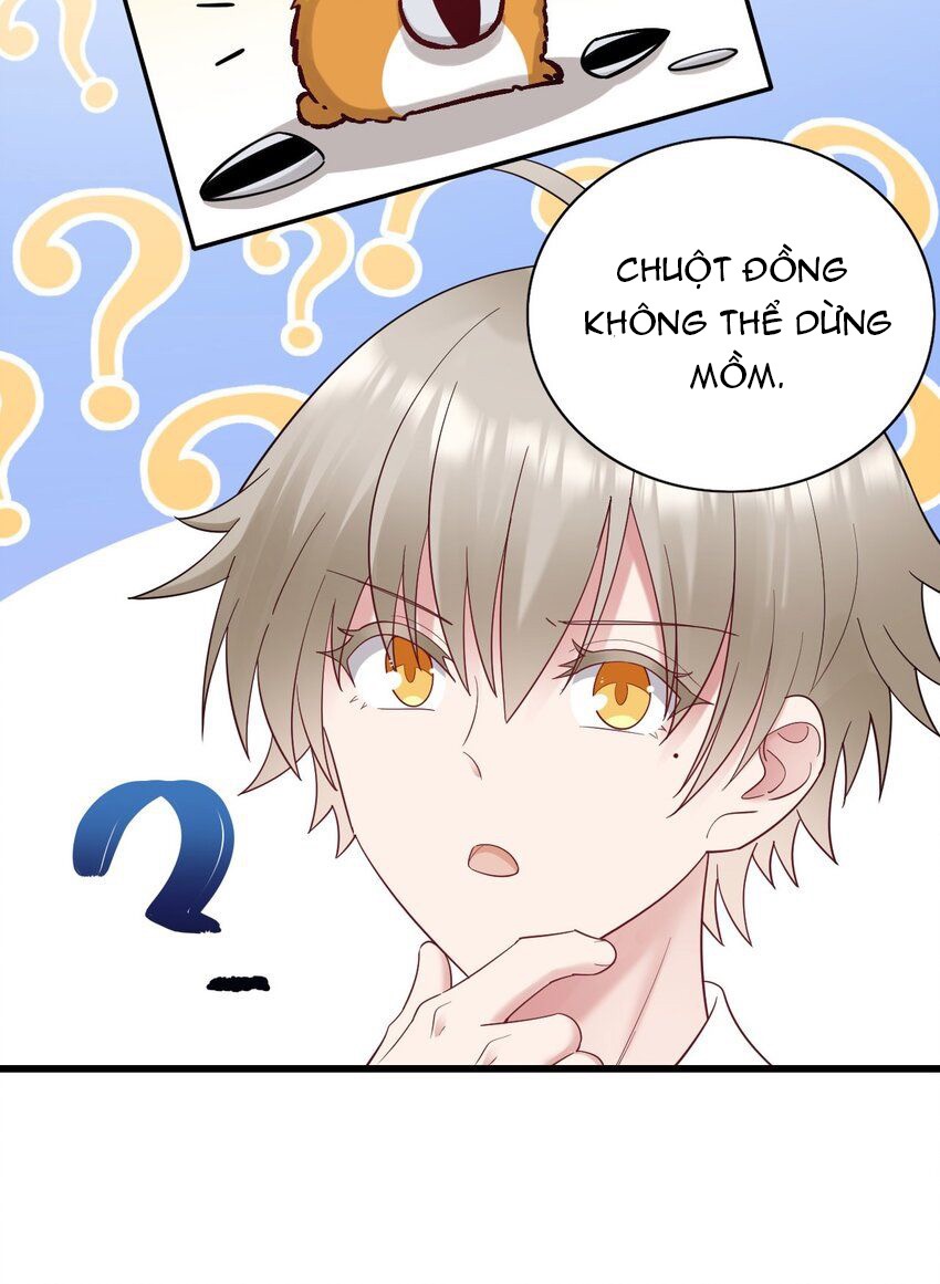 tức thời phạm quy [ tức thì vi quy ] chapter 61 7