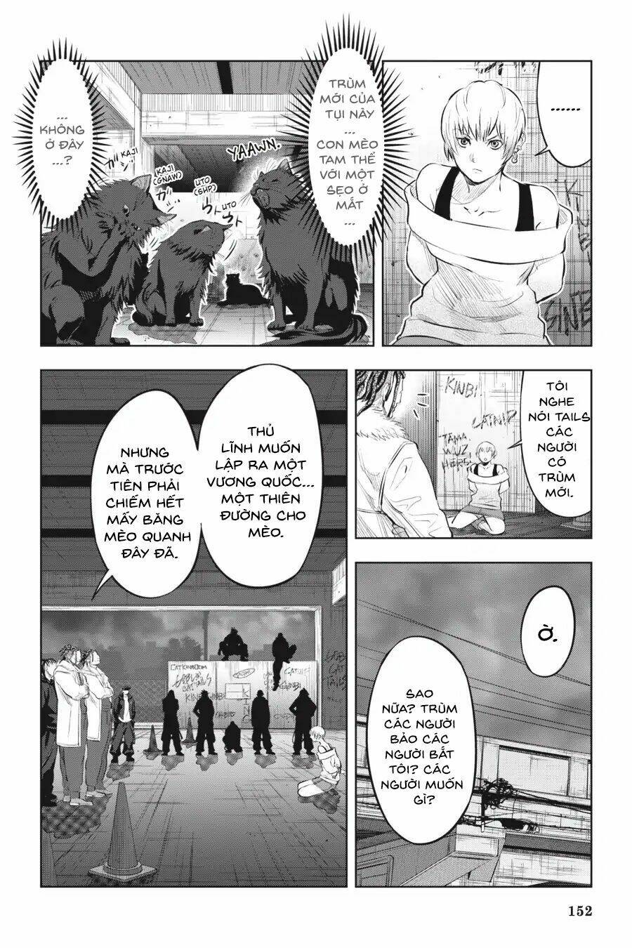 nyankees chapter 6 4