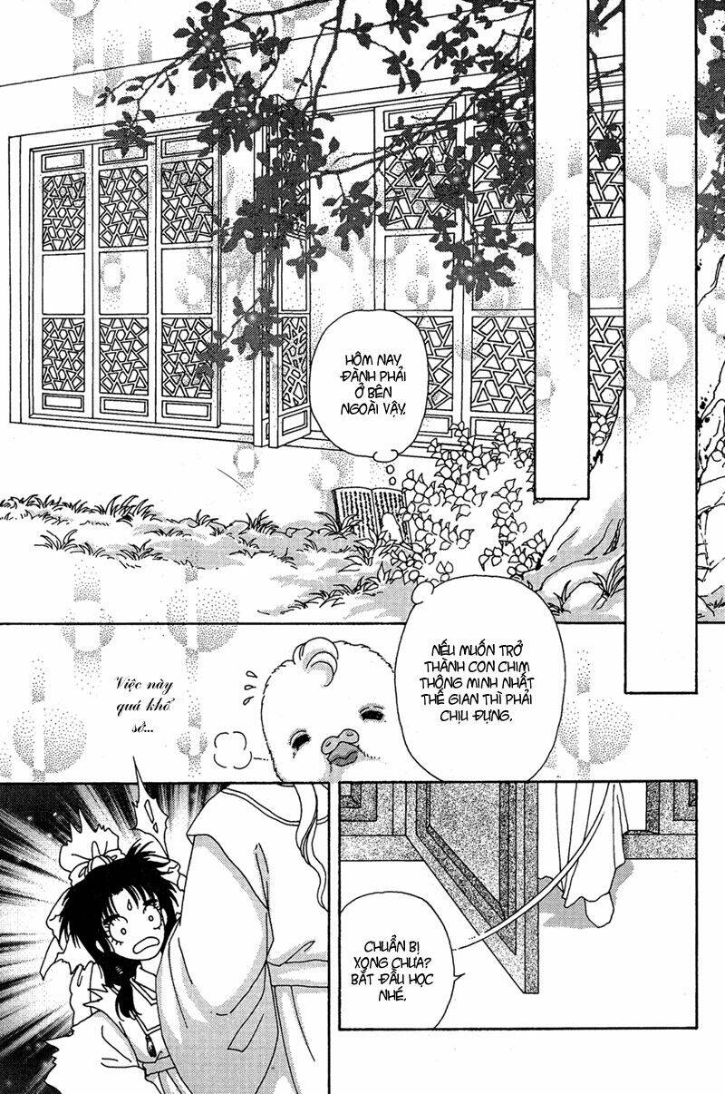 bird of youth chapter 7 32