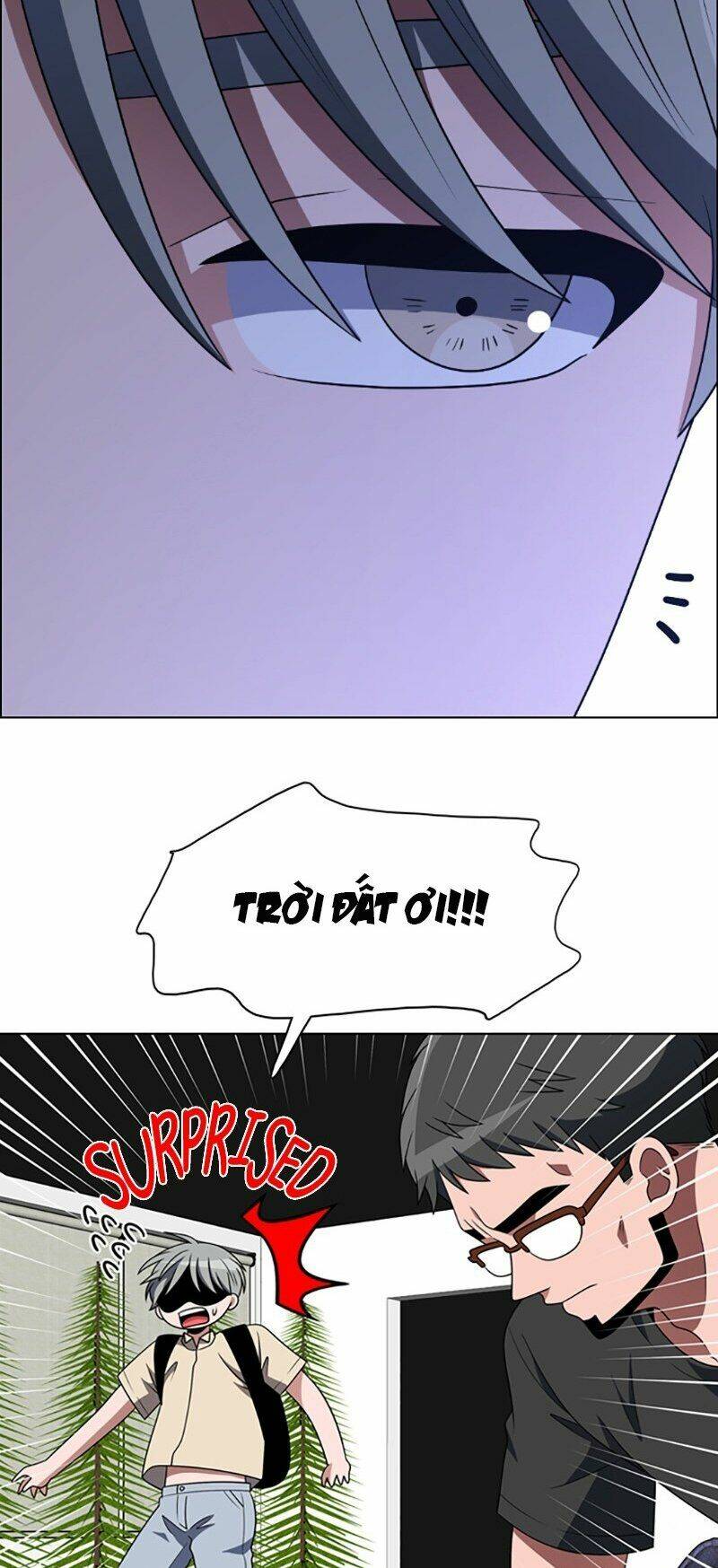 no scope chapter 81 31